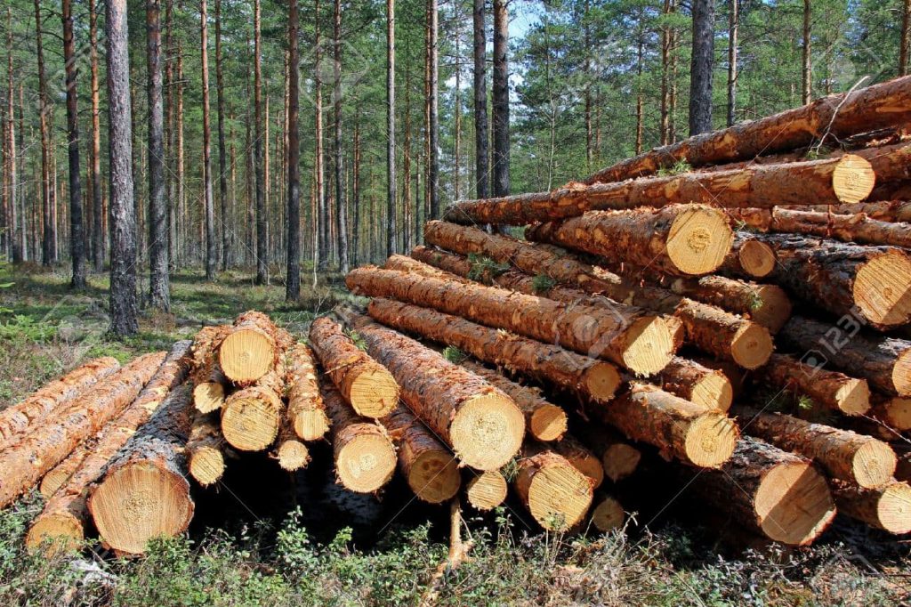 ahsap palet imalat sureci ve imalatcilari resim 6 1